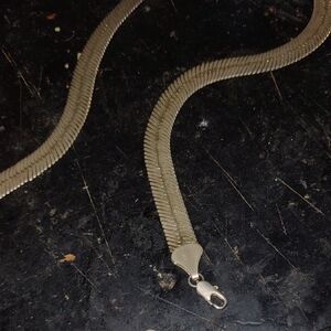 Gold Reptile Pet Chain